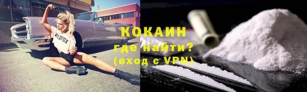 индика Горнозаводск