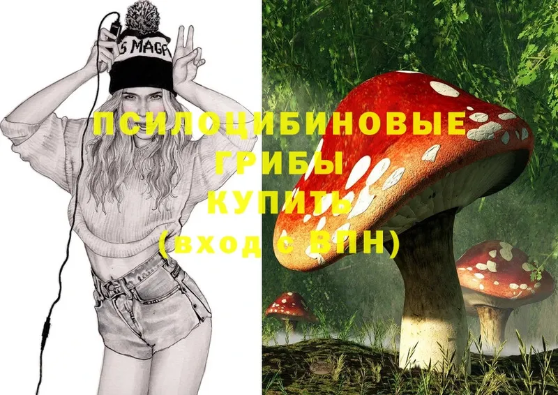 Галлюциногенные грибы MAGIC MUSHROOMS  kraken ссылки  Донецк 